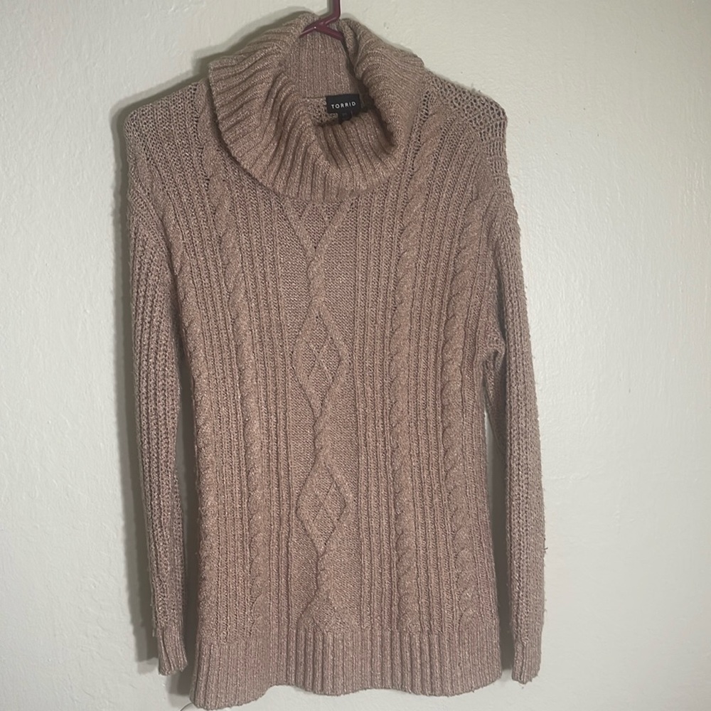 Torrid Turtleneck Sweater